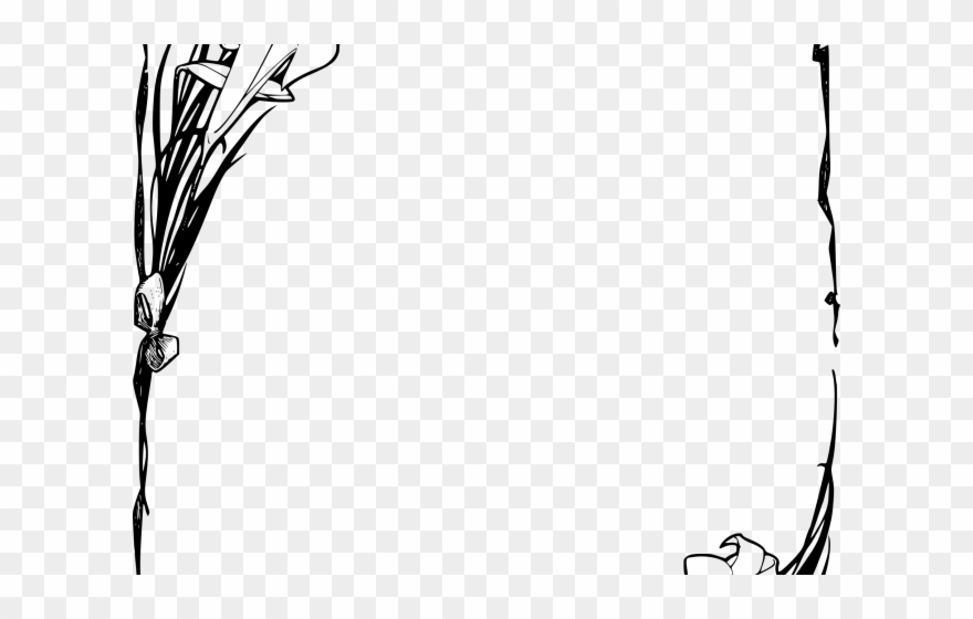 Frame Clipart Funeral - Flower Black And White Frames Transparent - Png Download
