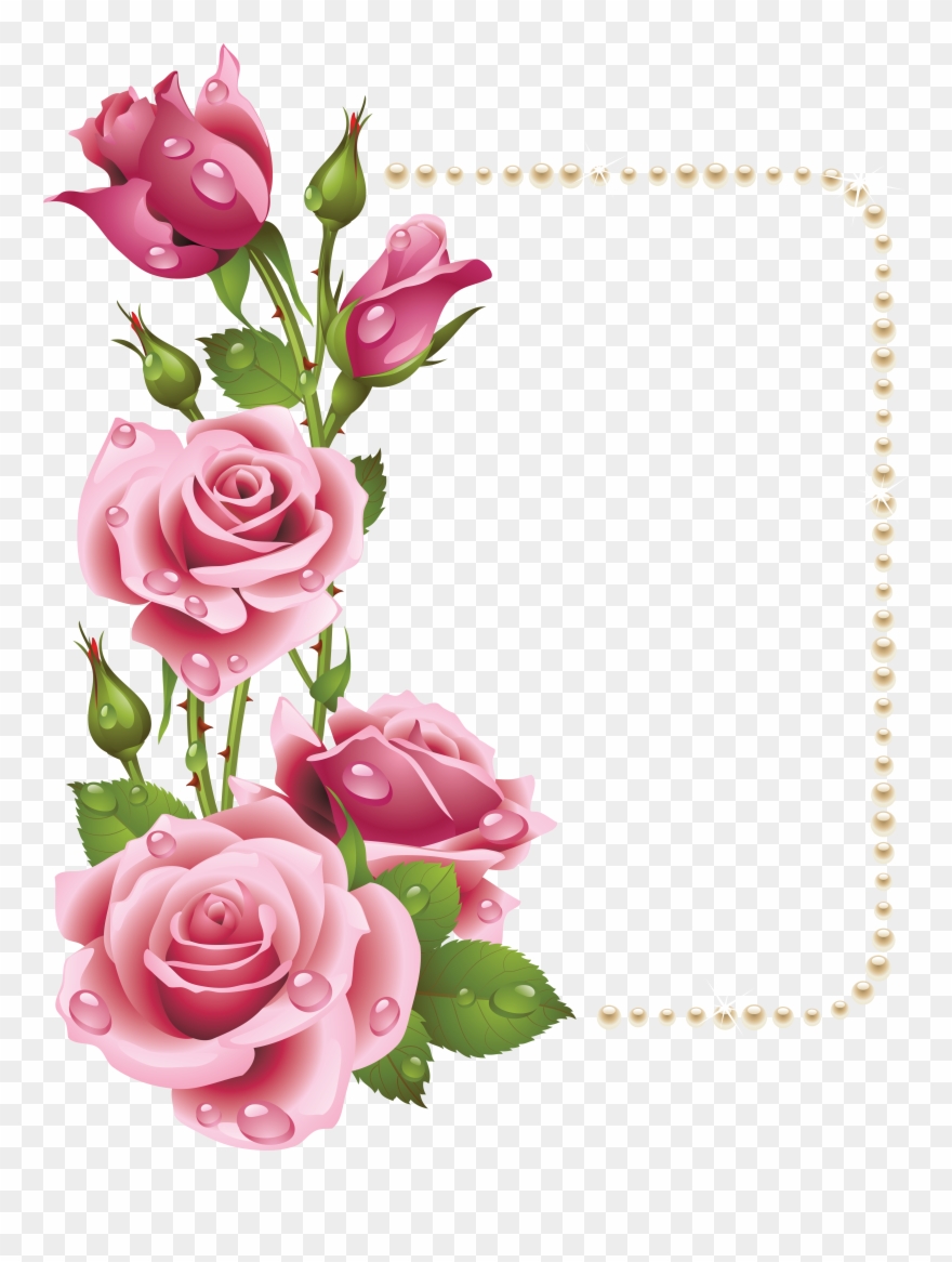 large transparent frame with pink roses and pearls pink rose frame clipart 404365 pinclipart large transparent frame with pink roses