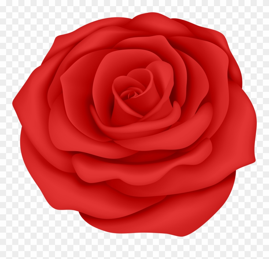 Rose Border Clipart - Png Download