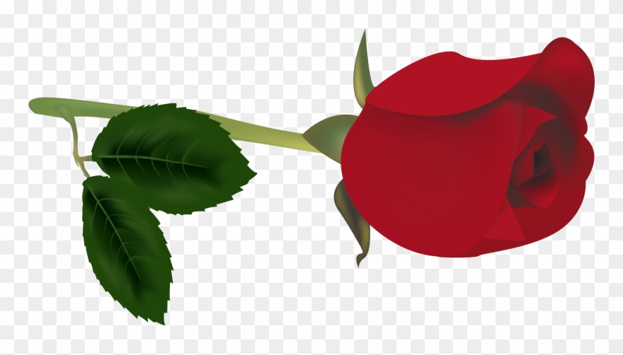 Rose Clipart At Getdrawings - Capullo De Rosa Png Transparent Png