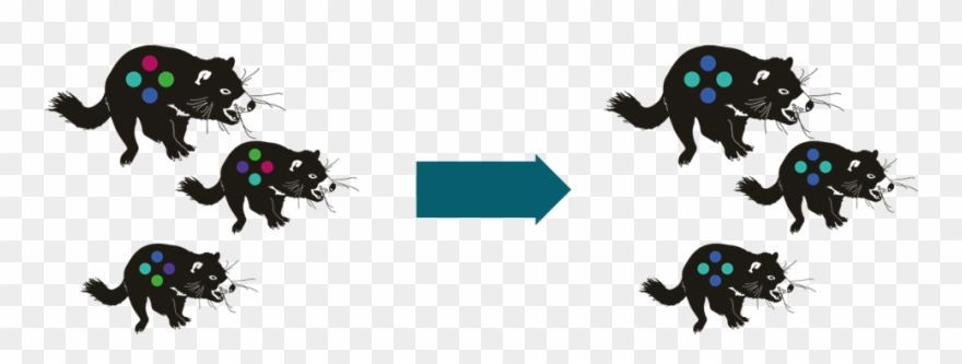 Previous / Next Image Thumbnails - Animal Figure Clipart