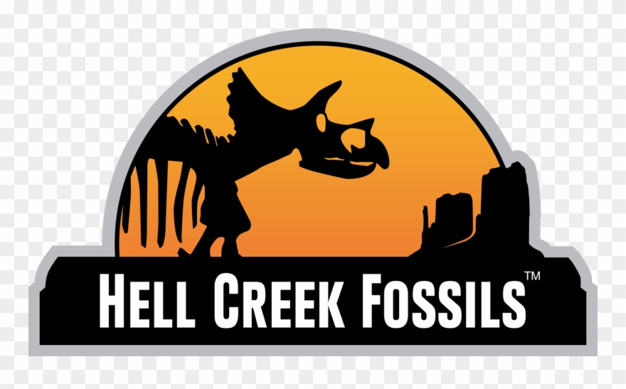 Fossil Clipart Archeologist - Graphic Design - Png Download