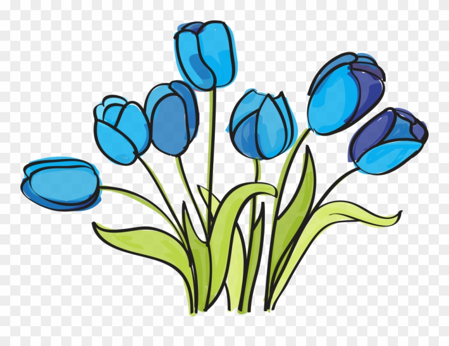 Birthday Wishes - Clip Art - Png Download