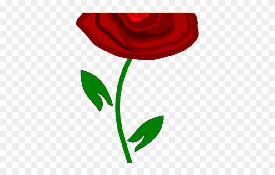 Red Rose Clipart Www Love - Rosa Vermelha Bela Png Transparent Png