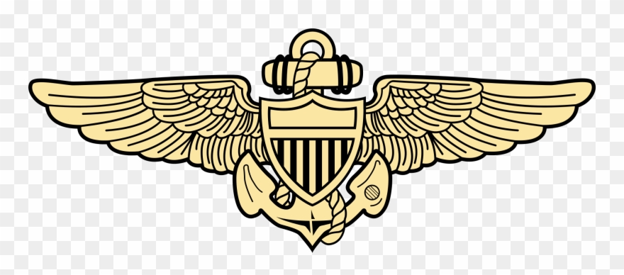 Open - Faa Drone Pilot Wings Clipart