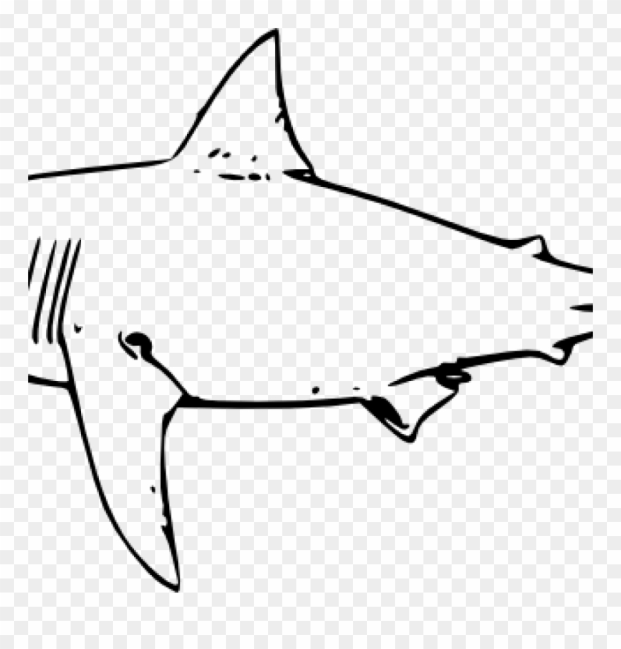 Shark Clipart Black And White Shark Clipart Black And - Cómo Se Dibuja Un Tiburón Blanco - Png Download