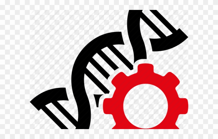 Original - Genetic Engineering Icon Png Clipart