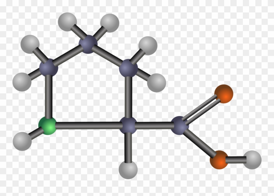 All Photo Png Clipart - Amino Acids: Biochemistry And Applications Transparent Png