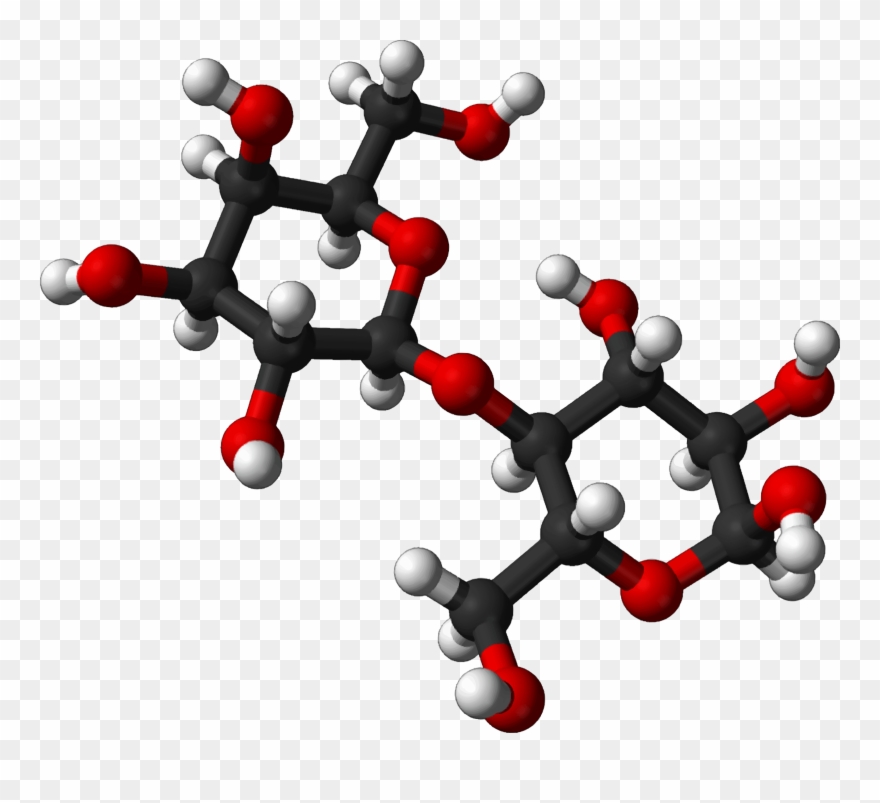 Clipart Science Molecule - Molécule Lactose - Png Download