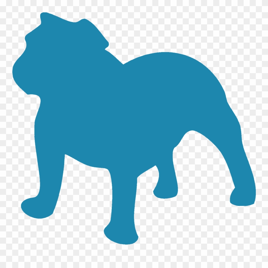 Badger Bulldogs - English Bulldog Black And White Clipart - Png Download