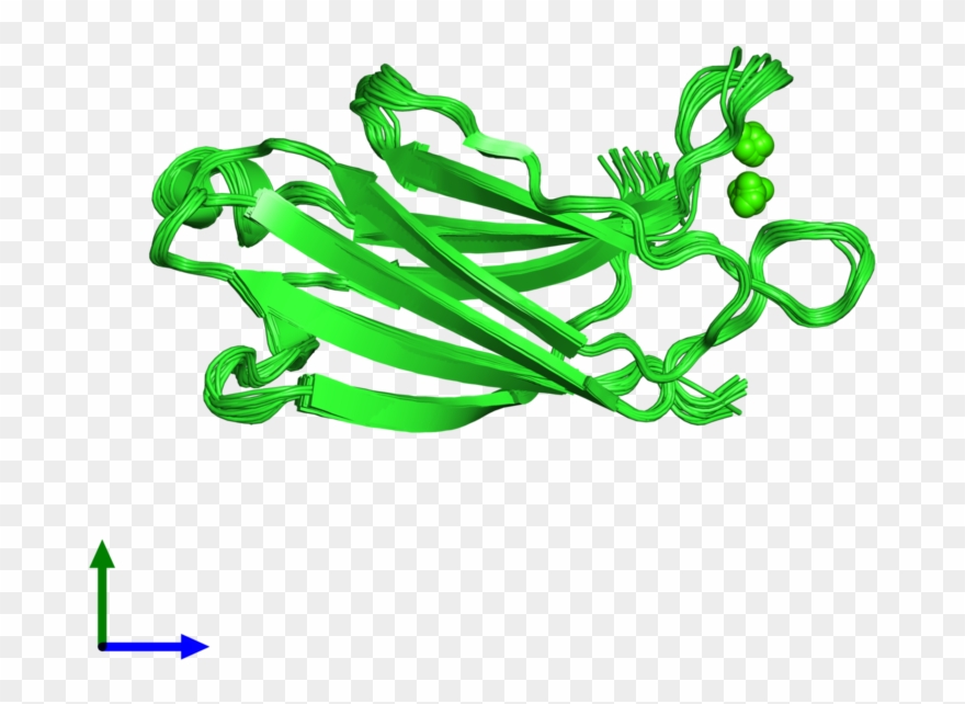 Pdb 1byn Coloured By Chain And Viewed From The Front - Graphic Design Clipart
