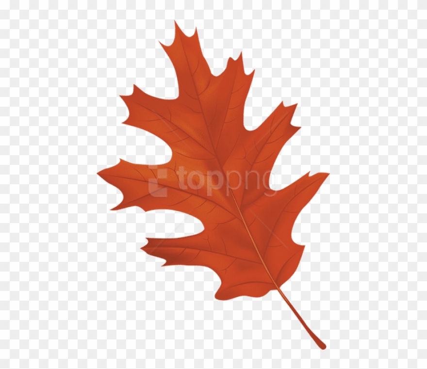 Free Png Download Brown Autumn Leaf Clipart Png Photo - Autumn Leaf Clipart Png Transparent Png