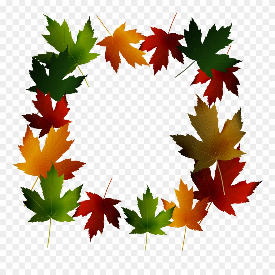 Maple Leaf Green - イラスト 無料 秋 枠組み Clipart