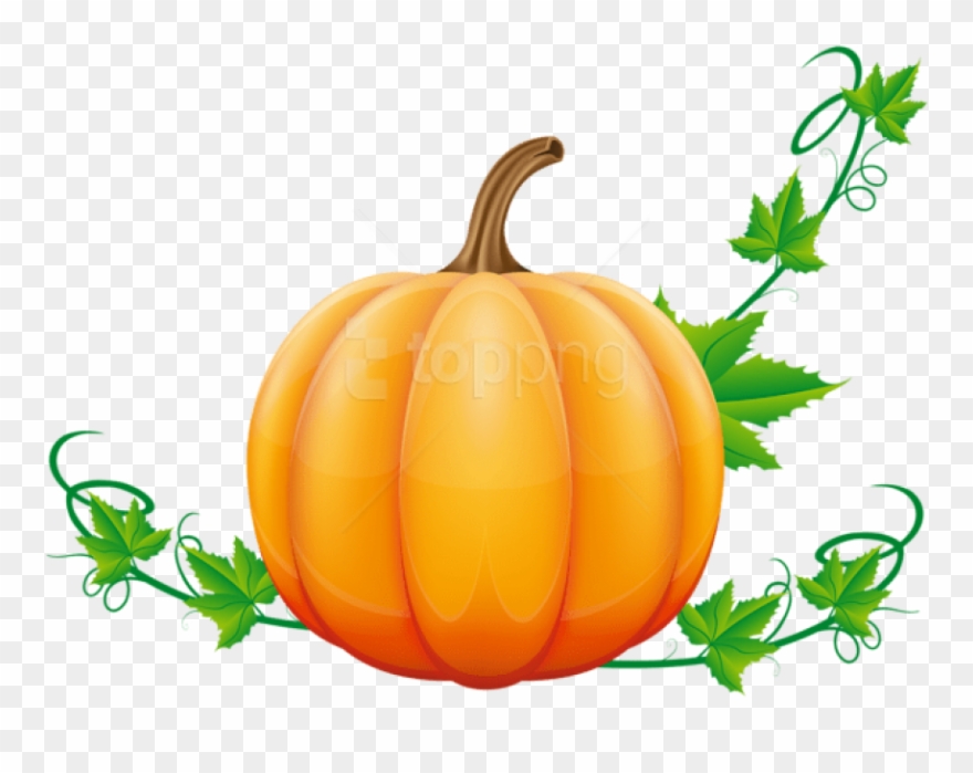 Free Png Download Pumpkin Clipart Png Photo Png Images - Pumpkin Png Clip Art Transparent Png