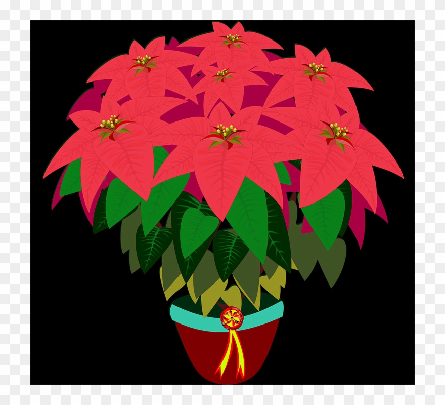 2 - Noche Buena Dibujo Png Clipart