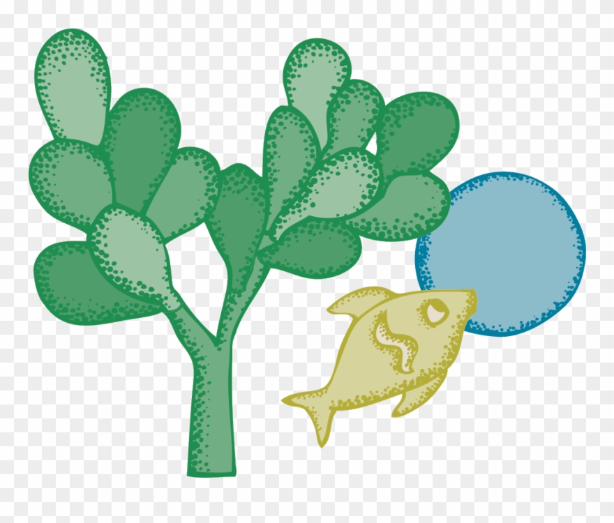 Rainforest Scenes And Colorful Landscapes Give Our - Eastern Prickly Pear Clipart