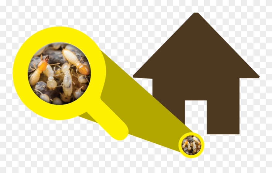 Bahrain Pest Control - Dog Clipart