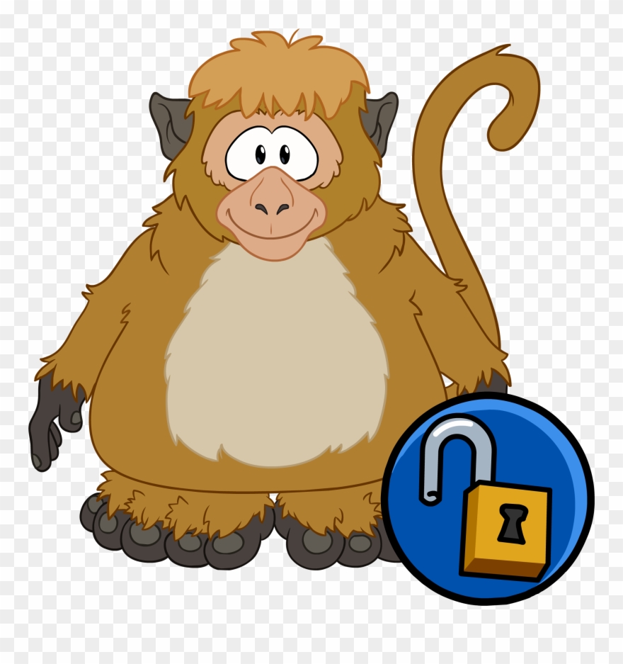 Monkey Club Penguin Wiki Fandom Powered By - Club Penguin Monkey Clipart