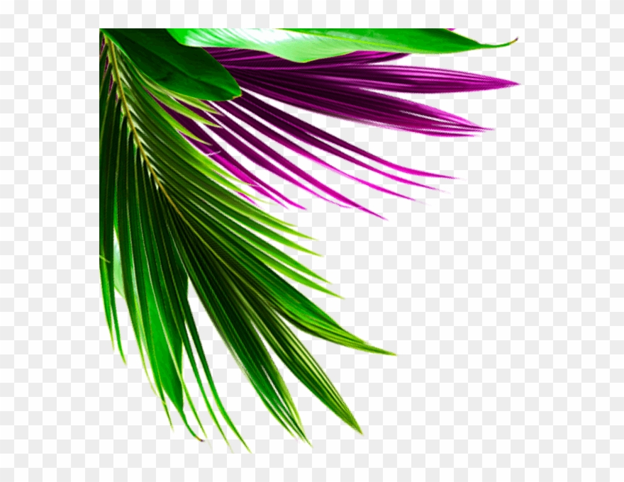 Hotel Top Left - Graphic Design Clipart