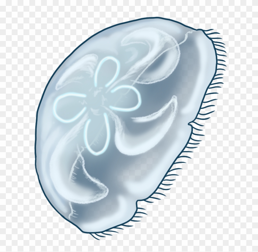 Blue Moon Jellyfish - Illustration Clipart