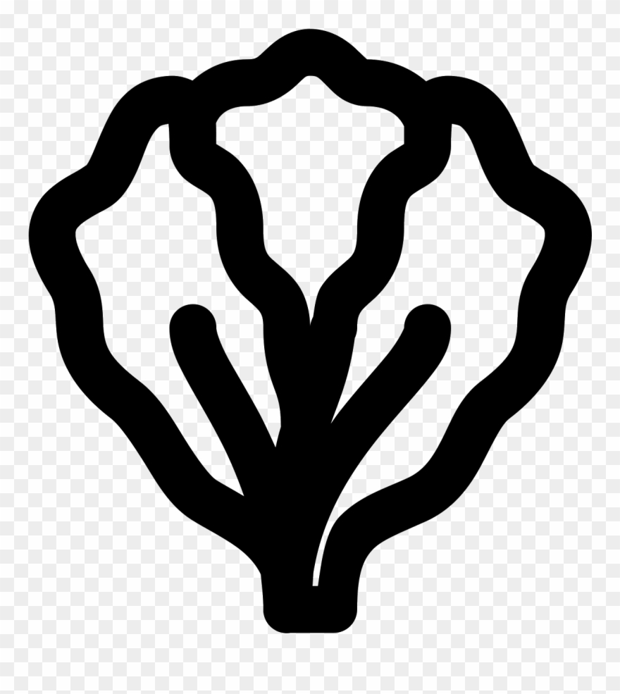 The Image Is An Outline Of A Single Head Of Lettuce Clipart