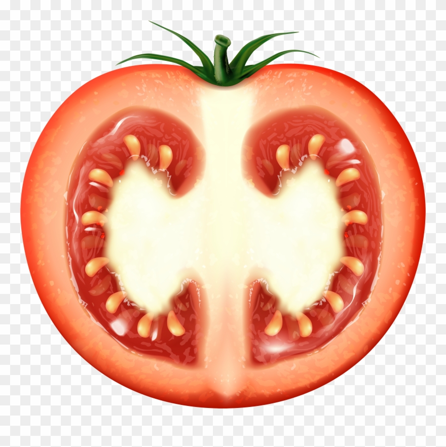 Tomato Transparent Clip Art - Png Download