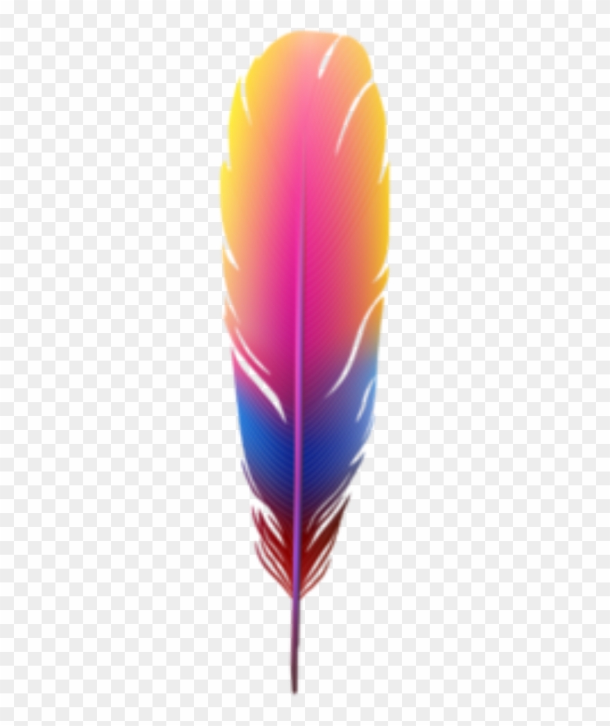 Feather Feathers Boho Bohemian Bohofeathers Tribal Clipart