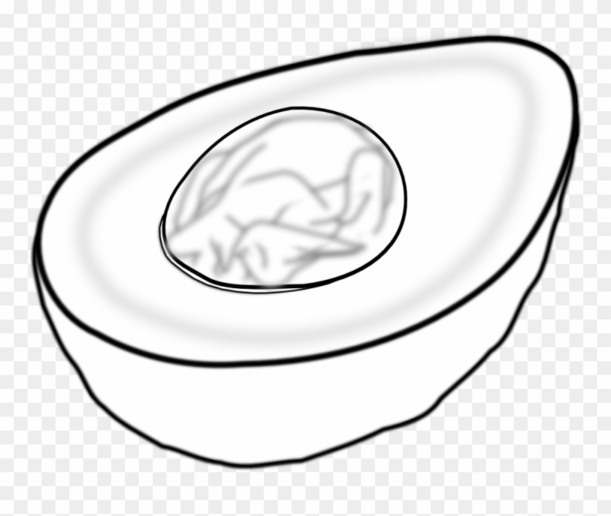 Avocado 999px 211 Clipart