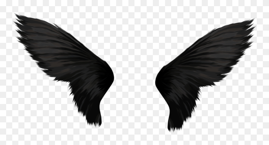 Black Wings Png Clipart