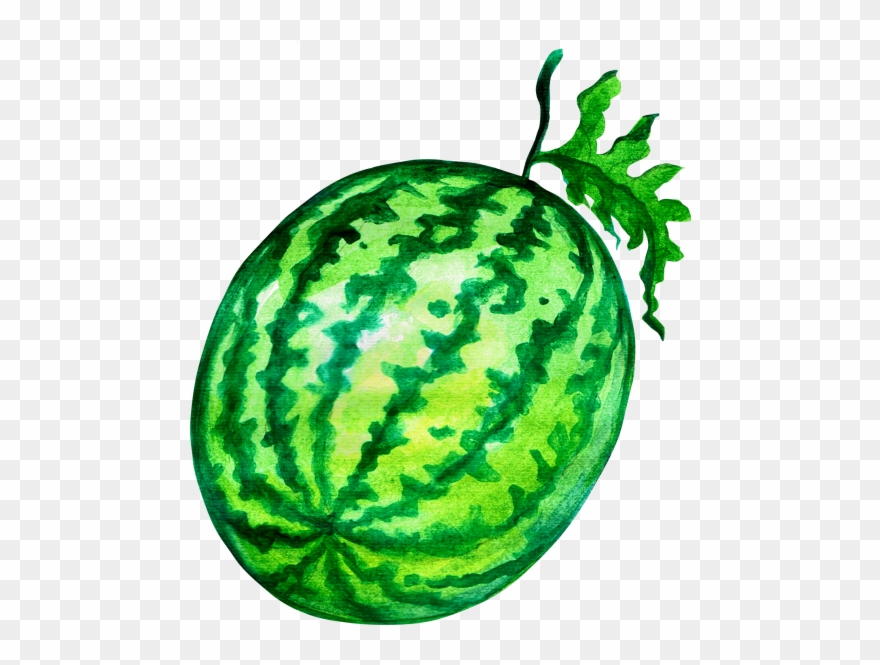 Watermelon Clipart