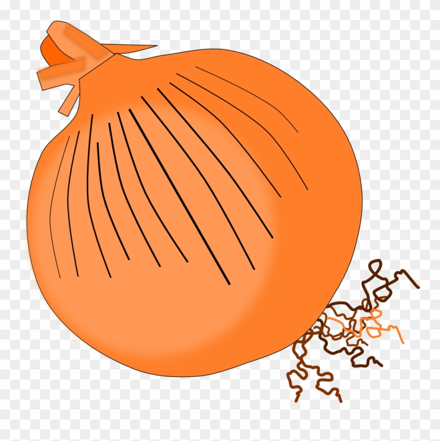 Oignon Onion 999px 224 Clipart
