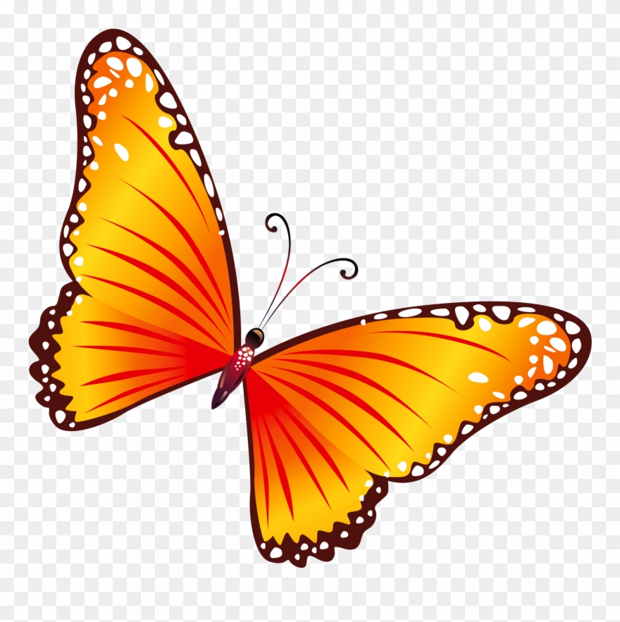 Dead And Fish World Clipart Of Associated, Butterfly - Clip Art - Png Download