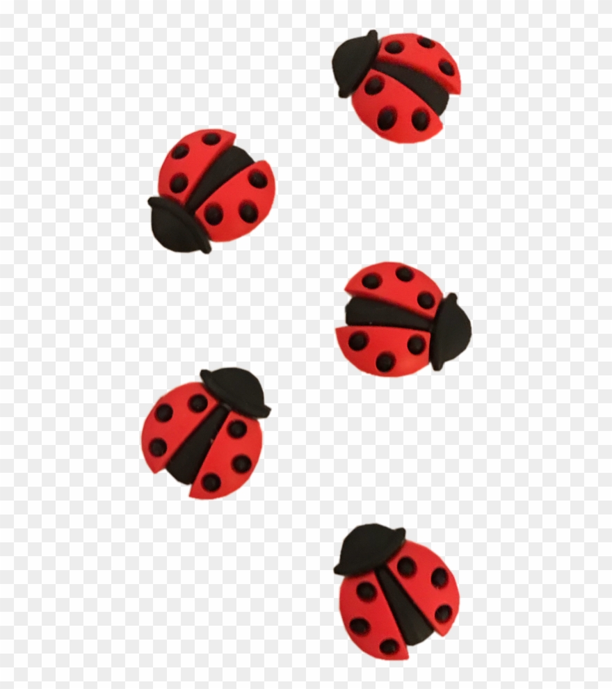 Ladybug Clipart