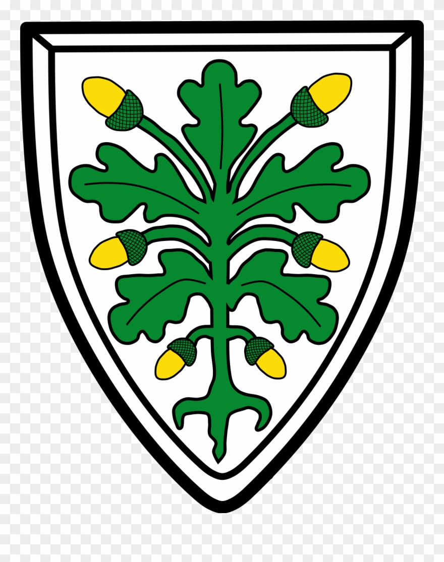 Wappen Von Aichach Clipart