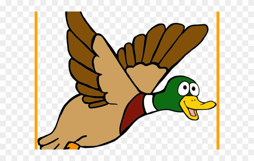 Wood Duck Clipart Drawing - Clipart Mallard Duck Transparent - Png Download