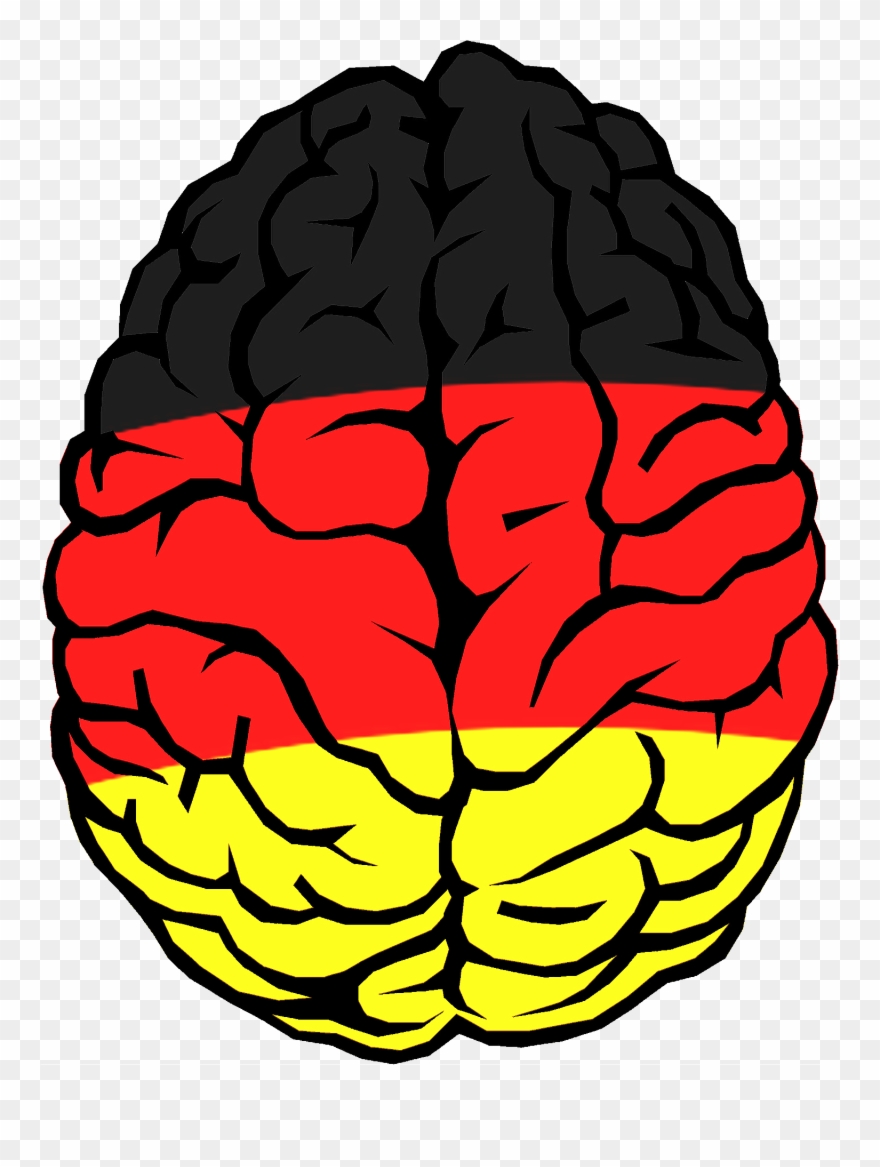 Transparent Clipart Of Brain - Png Download