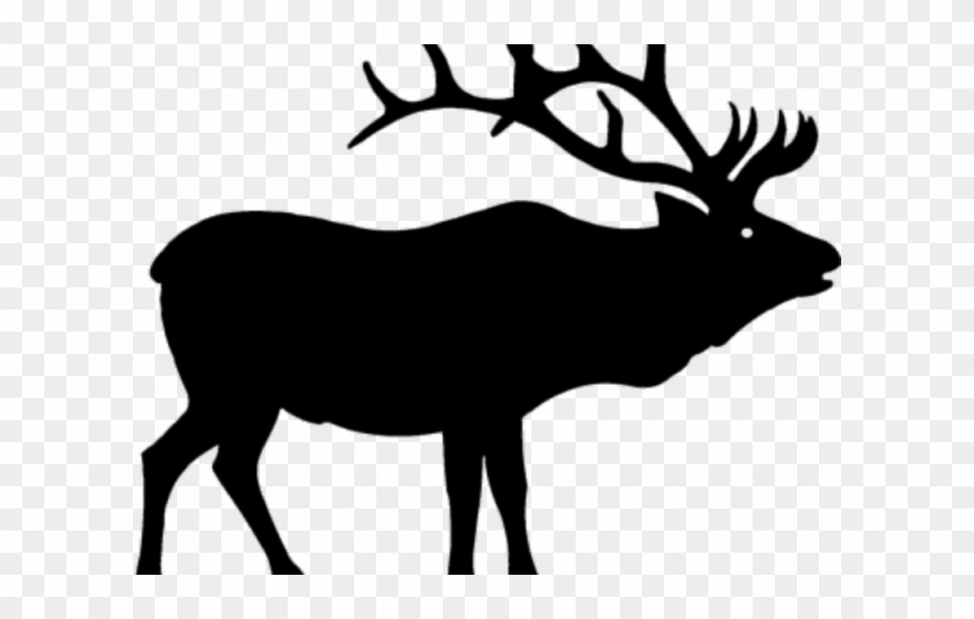 Caribou Clipart Elk - Elk Skull - Png Download