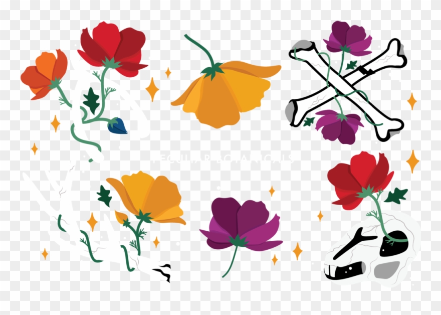 Forensices Splash Page-01 Copy Clipart