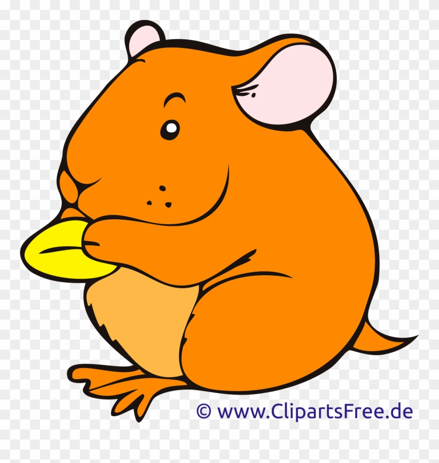 Cartoon Hamster Clip Art - Hamster Clipart Png Transparent Png