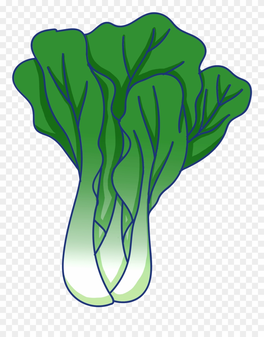 Vegetable Leaf Green Rapeseed Food Png And Psd - Hinh Ve Rau Cai Clipart