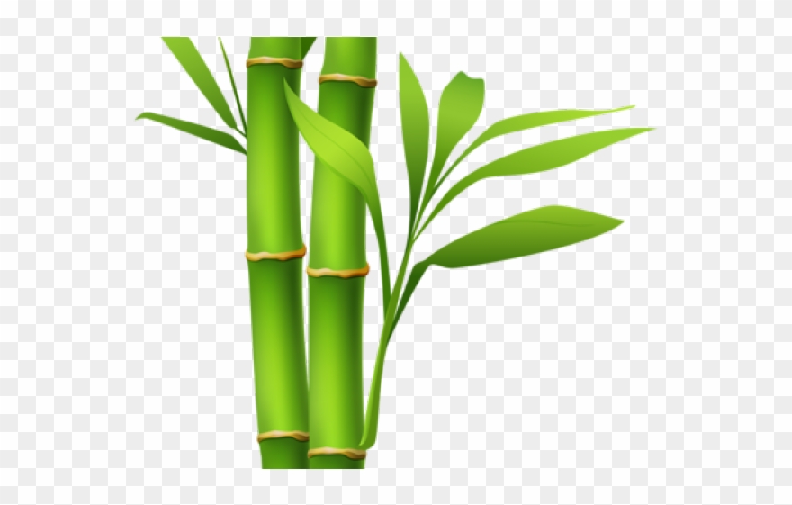 Bamboo Clipart Island Border - Transparent Bamboo Clip Art - Png Download