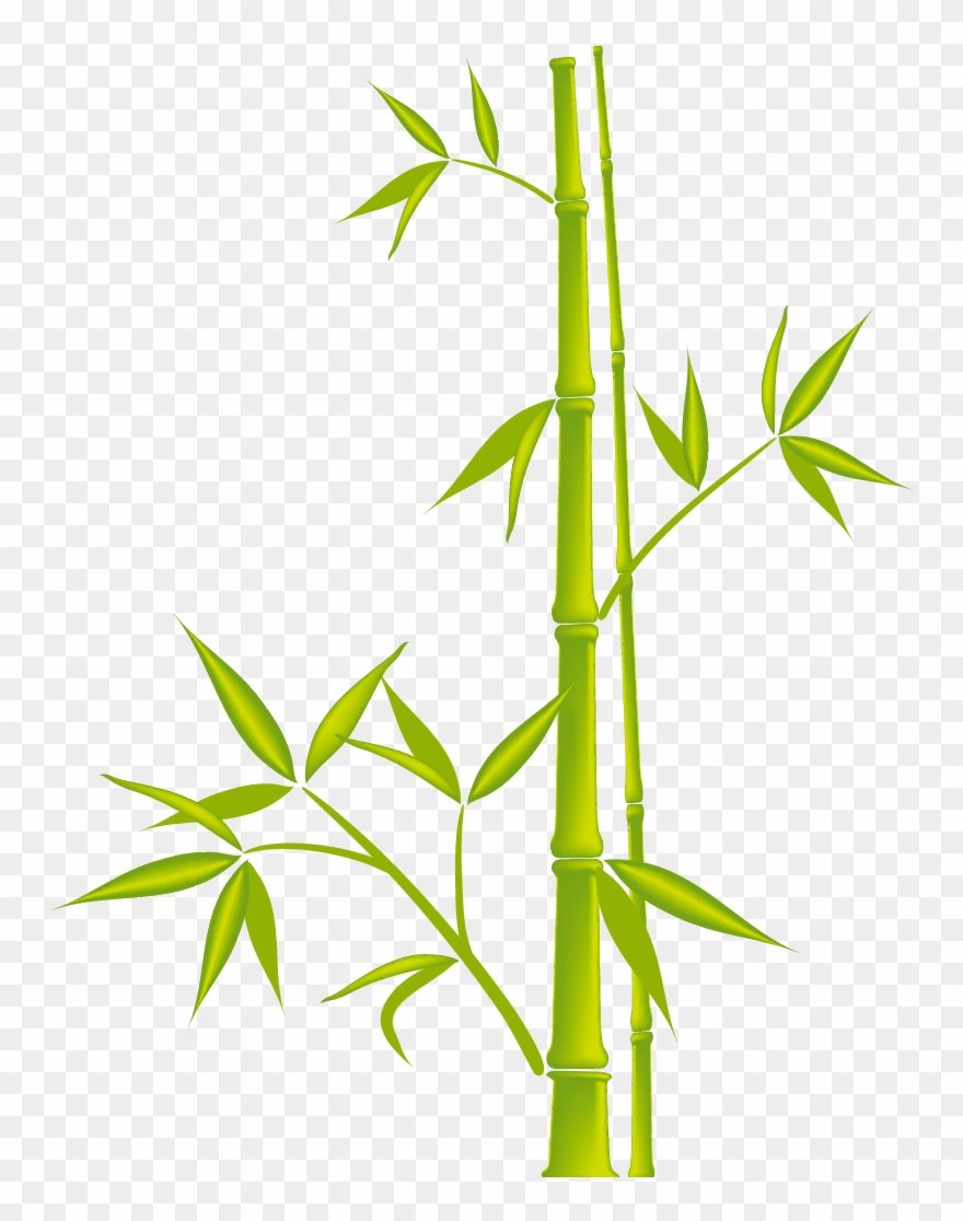 Бамбук Png - Bamboo Clip Art Free Transparent Png