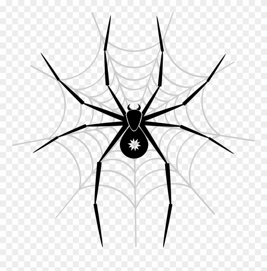 Spider Png Image Png - Spider Art Clipart