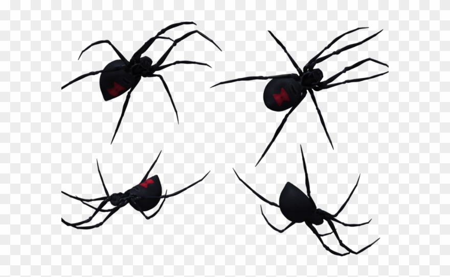 Arachnid Clipart Spider Outline - Black Widow - Png Download