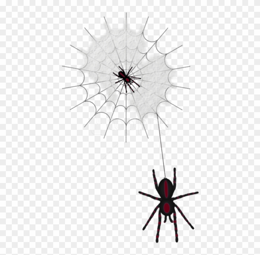 Free Png Halloween Web With Spiders Png Images Transparent - Паутина Клипарт Прозрачный Фон Clipart