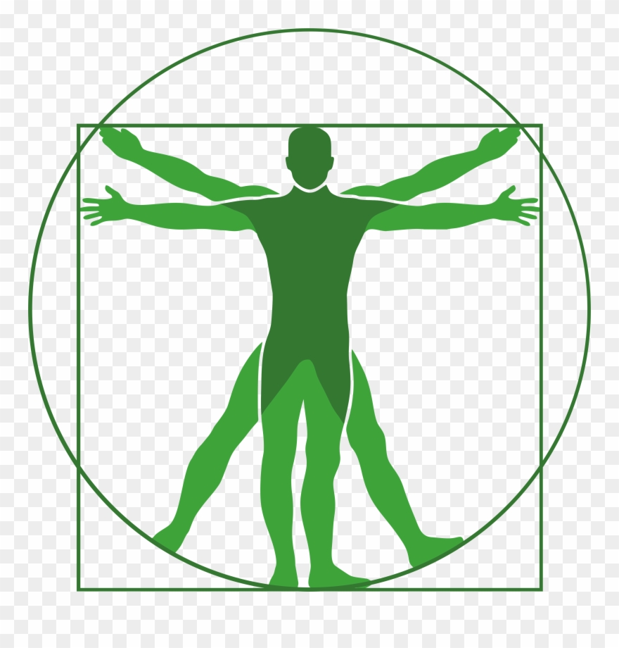 Men Sana In Corpore Sano - Vinci Man Clipart