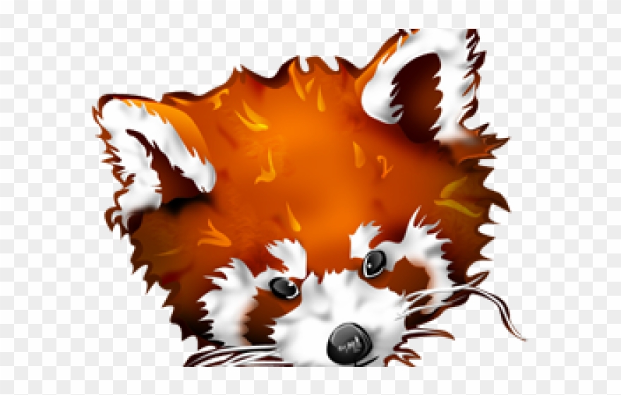 Red Panda Clipart Fox - Red Panda - Png Download