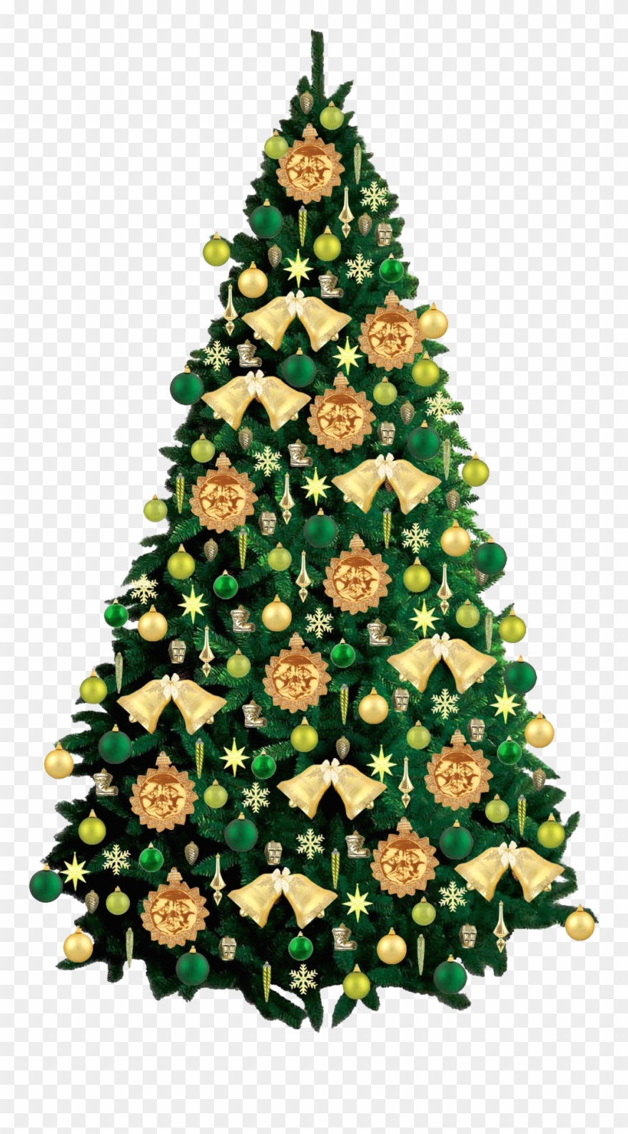 Живая Новогодняя Елка Пнг Clipart