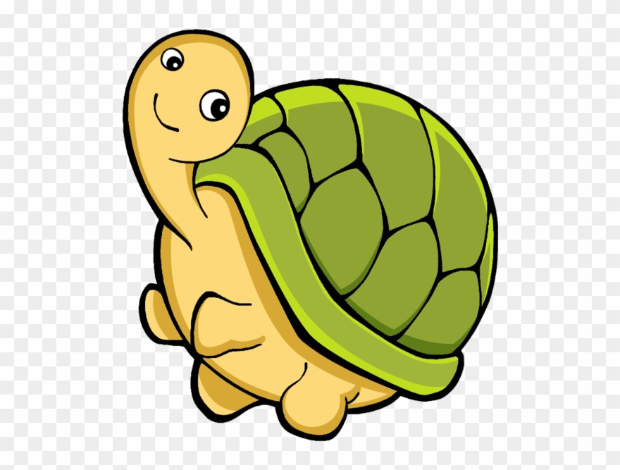 Turtle - Vector De Animales Acuaticos Clipart