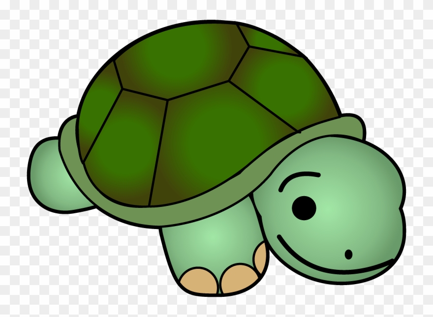 Cute Turtle Clip Art Free Clipart Images - Clip Art Of A Turtle - Png Download